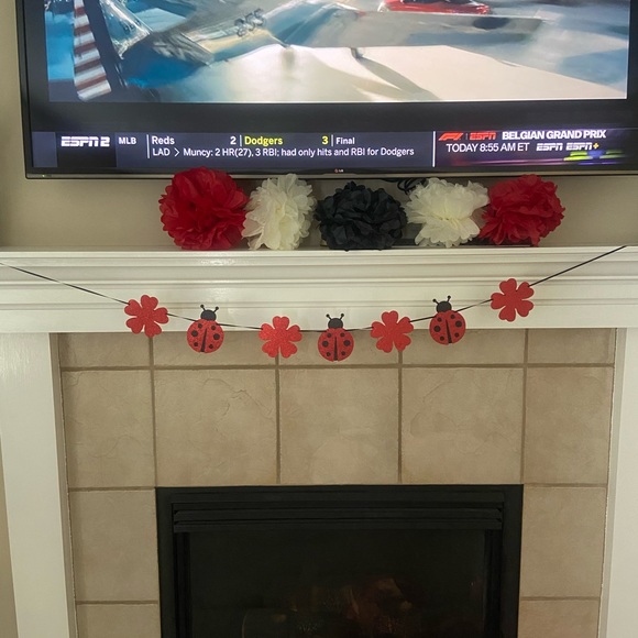 Glitter ladybug birthday decorations: happy birthday & ladybug flower banners - Picture 2 of 4